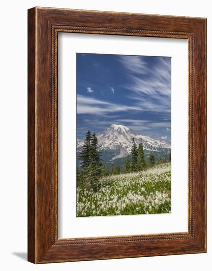 USA, Washington, Mount Rainier NP. Avalanche Lilies and Mount Rainier-Jaynes Gallery-Framed Photographic Print