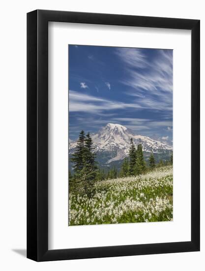 USA, Washington, Mount Rainier NP. Avalanche Lilies and Mount Rainier-Jaynes Gallery-Framed Photographic Print