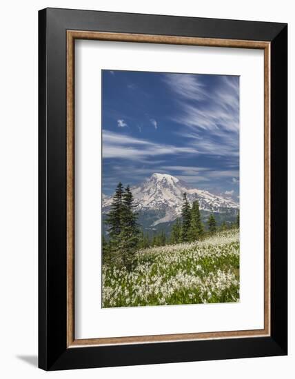 USA, Washington, Mount Rainier NP. Avalanche Lilies and Mount Rainier-Jaynes Gallery-Framed Photographic Print