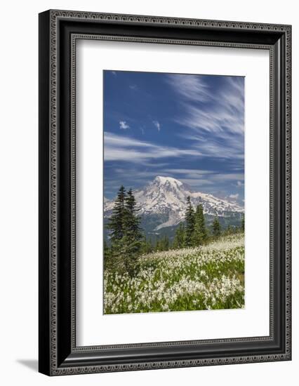 USA, Washington, Mount Rainier NP. Avalanche Lilies and Mount Rainier-Jaynes Gallery-Framed Photographic Print