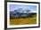 USA, Washington, Mount Rainier NP, Mount Rainier and meadow.-Jamie & Judy Wild-Framed Photographic Print