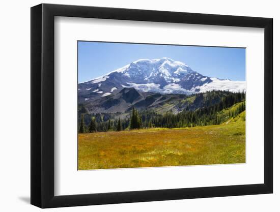 USA, Washington, Mount Rainier NP, Mount Rainier and meadow.-Jamie & Judy Wild-Framed Photographic Print