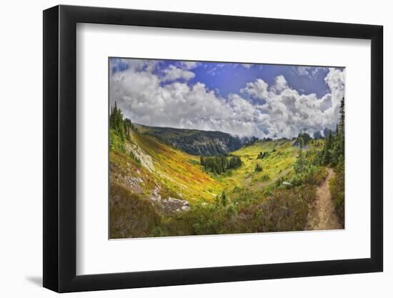 USA, Washington, Mt. Rainier National Park. Stevens Creek Valley as seen from the Skyline Trial.-Christopher Reed-Framed Photographic Print