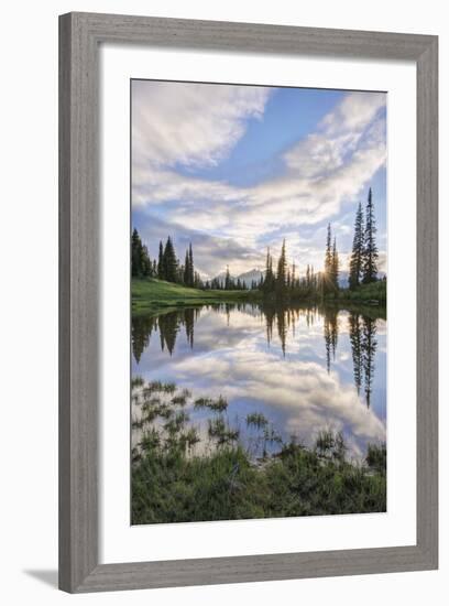 USA, Washington, Mt. Rainier National Park, Tipsoo Lake Sunset-Rob Tilley-Framed Photographic Print