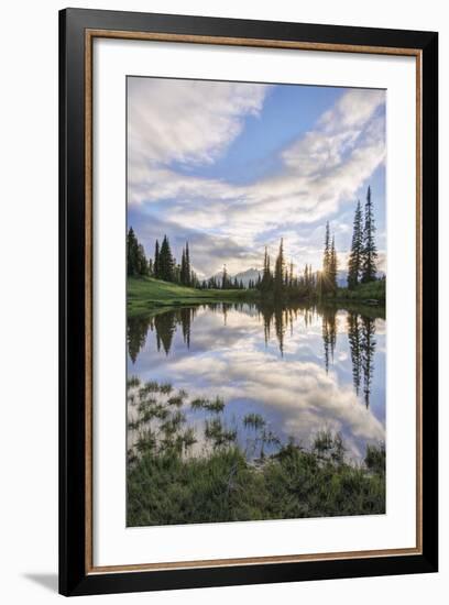 USA, Washington, Mt. Rainier National Park, Tipsoo Lake Sunset-Rob Tilley-Framed Photographic Print