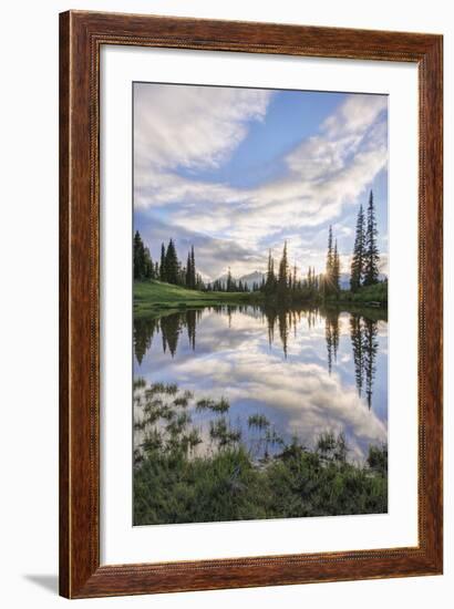 USA, Washington, Mt. Rainier National Park, Tipsoo Lake Sunset-Rob Tilley-Framed Photographic Print