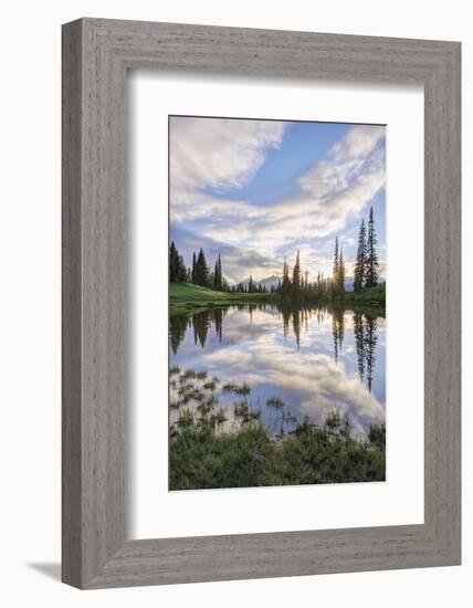 USA, Washington, Mt. Rainier National Park, Tipsoo Lake Sunset-Rob Tilley-Framed Photographic Print