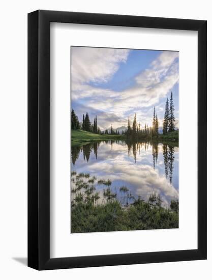 USA, Washington, Mt. Rainier National Park, Tipsoo Lake Sunset-Rob Tilley-Framed Photographic Print