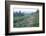 USA, Washington, Mt. Rainier NP, Wildflowers on Skyline Trail-Rob Tilley-Framed Photographic Print