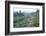 USA, Washington, Mt. Rainier NP, Wildflowers on Skyline Trail-Rob Tilley-Framed Photographic Print