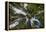 USA, Washington. Old Growth Douglas Fir Tree Canopy, Mt. Rainier-Gary Luhm-Framed Premier Image Canvas