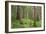 USA, Washington, Olympic National Park. Scenic of Old Growth Forest-Jaynes Gallery-Framed Photographic Print