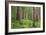 USA, Washington, Olympic National Park. Scenic of Old Growth Forest-Jaynes Gallery-Framed Photographic Print