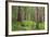 USA, Washington, Olympic National Park. Scenic of Old Growth Forest-Jaynes Gallery-Framed Photographic Print