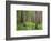 USA, Washington, Olympic National Park. Scenic of Old Growth Forest-Jaynes Gallery-Framed Photographic Print