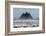 USA. Washington, Olympic NP. Sea stacks along the coast at Cape Alava.-Steve Kazlowski-Framed Photographic Print