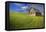 USA, Washington, Palouse. Old Barn in Field of Spring Wheat (Pr)-Terry Eggers-Framed Premier Image Canvas