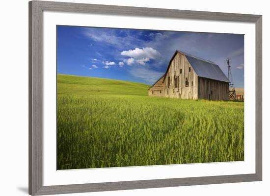 USA, Washington, Palouse. Old Barn in Field of Spring Wheat (Pr)-Terry Eggers-Framed Photographic Print