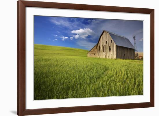 USA, Washington, Palouse. Old Barn in Field of Spring Wheat (Pr)-Terry Eggers-Framed Photographic Print