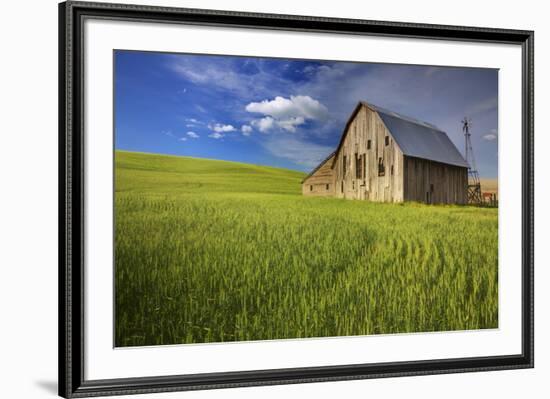 USA, Washington, Palouse. Old Barn in Field of Spring Wheat (Pr)-Terry Eggers-Framed Photographic Print