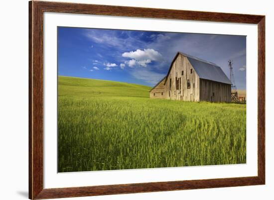 USA, Washington, Palouse. Old Barn in Field of Spring Wheat (Pr)-Terry Eggers-Framed Photographic Print