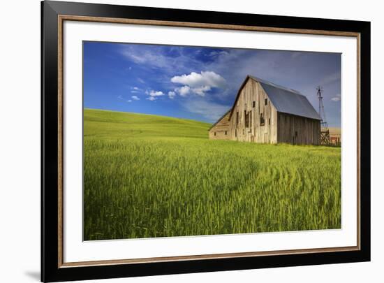 USA, Washington, Palouse. Old Barn in Field of Spring Wheat (Pr)-Terry Eggers-Framed Photographic Print