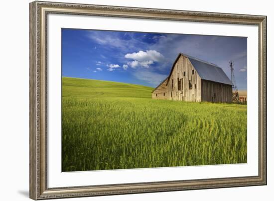 USA, Washington, Palouse. Old Barn in Field of Spring Wheat (Pr)-Terry Eggers-Framed Photographic Print