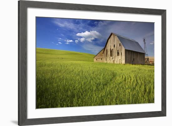 USA, Washington, Palouse. Old Barn in Field of Spring Wheat (Pr)-Terry Eggers-Framed Photographic Print