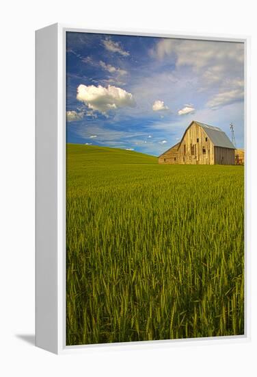 USA, Washington, Palouse. Old Barn in Field of Spring Wheat (Pr)-Terry Eggers-Framed Premier Image Canvas