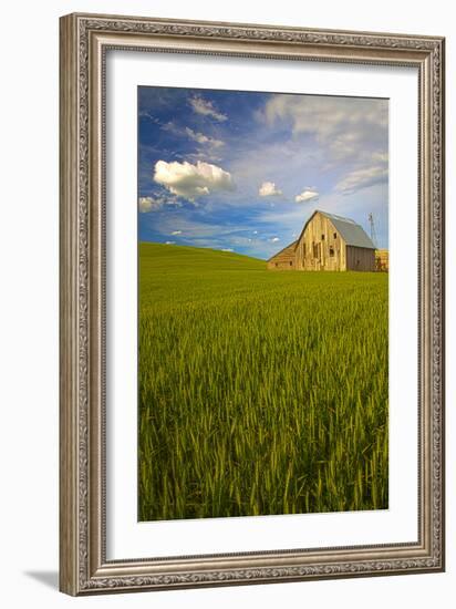 USA, Washington, Palouse. Old Barn in Field of Spring Wheat (Pr)-Terry Eggers-Framed Premium Photographic Print