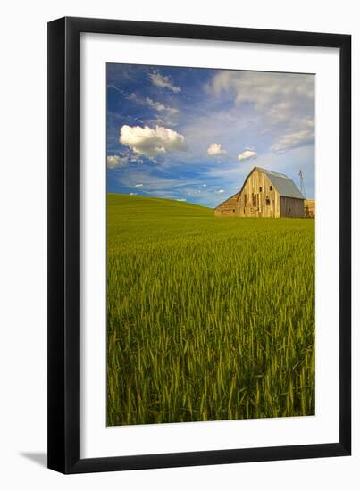 USA, Washington, Palouse. Old Barn in Field of Spring Wheat (Pr)-Terry Eggers-Framed Premium Photographic Print