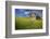 USA, Washington, Palouse. Old Barn in Field of Spring Wheat (Pr)-Terry Eggers-Framed Photographic Print