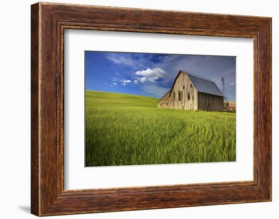 USA, Washington, Palouse. Old Barn in Field of Spring Wheat (Pr)-Terry Eggers-Framed Photographic Print