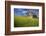 USA, Washington, Palouse. Old Barn in Field of Spring Wheat (Pr)-Terry Eggers-Framed Photographic Print