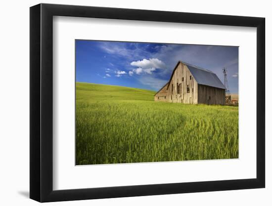 USA, Washington, Palouse. Old Barn in Field of Spring Wheat (Pr)-Terry Eggers-Framed Photographic Print