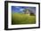 USA, Washington, Palouse. Old Barn in Field of Spring Wheat (Pr)-Terry Eggers-Framed Photographic Print