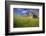 USA, Washington, Palouse. Old Barn in Field of Spring Wheat (Pr)-Terry Eggers-Framed Photographic Print