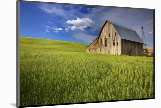 USA, Washington, Palouse. Old Barn in Field of Spring Wheat (Pr)-Terry Eggers-Mounted Photographic Print