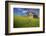 USA, Washington, Palouse. Old Barn in Field of Spring Wheat (Pr)-Terry Eggers-Framed Photographic Print