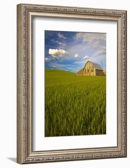 USA, Washington, Palouse. Old Barn in Field of Spring Wheat (Pr)-Terry Eggers-Framed Photographic Print