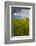 USA, Washington, Palouse. Old Barn in Field of Spring Wheat (Pr)-Terry Eggers-Framed Photographic Print