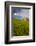 USA, Washington, Palouse. Old Barn in Field of Spring Wheat (Pr)-Terry Eggers-Framed Photographic Print