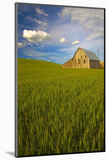 USA, Washington, Palouse. Old Barn in Field of Spring Wheat (Pr)-Terry Eggers-Mounted Photographic Print