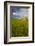 USA, Washington, Palouse. Old Barn in Field of Spring Wheat (Pr)-Terry Eggers-Framed Photographic Print