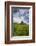 USA, Washington, Palouse. Old, Red Barn in Field of Chickpeas (Pr)-Terry Eggers-Framed Photographic Print