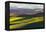 USA, Washington, Palouse. Rolling Hills Covered by Fields of Peas-Terry Eggers-Framed Premier Image Canvas