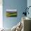 USA, Washington, Palouse. Rolling Hills Covered by Fields of Peas-Terry Eggers-Photographic Print displayed on a wall