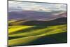 USA, Washington, Palouse. Rolling Hills Covered by Fields of Peas-Terry Eggers-Mounted Photographic Print