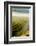 USA, Washington, Pasco. Fog and Harvest in a Washington Vineyard-Richard Duval-Framed Photographic Print