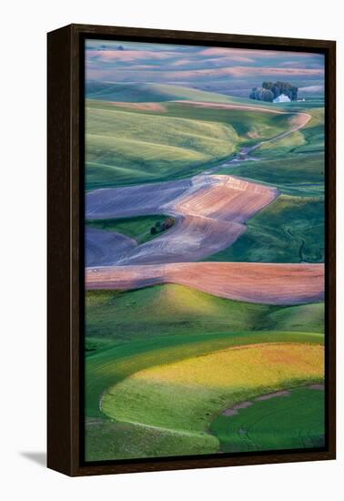 USA, Washington. Patterns and Colors of the Palouse Region-Jaynes Gallery-Framed Premier Image Canvas